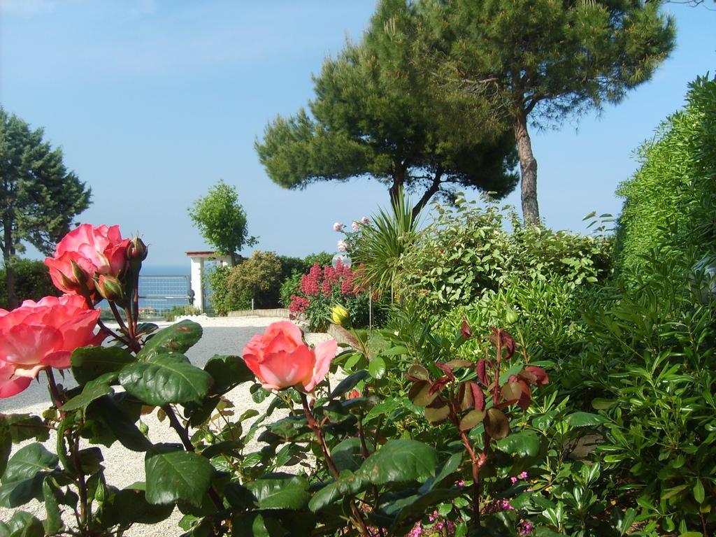 Bed And Breakfast " Il Tesoro Di Mario " Falconara Marittima Exterior foto